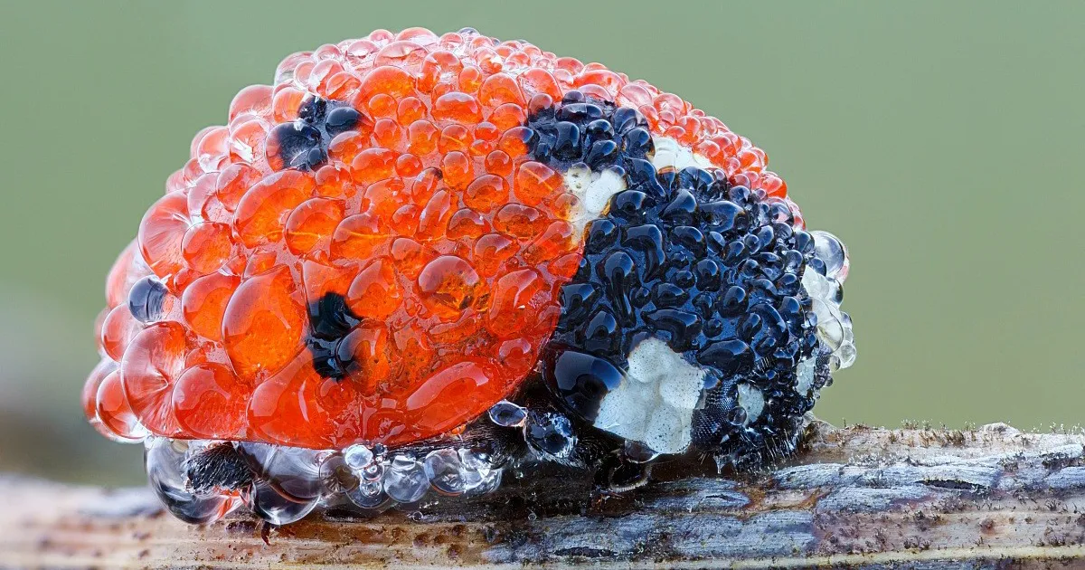 v1.6.0: "Mobile Navigation & Subposts"