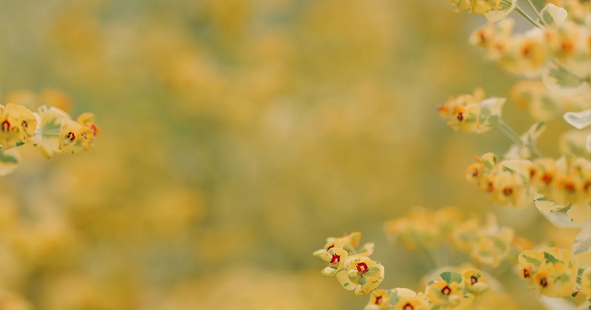 The State of Static Blogs in 2024